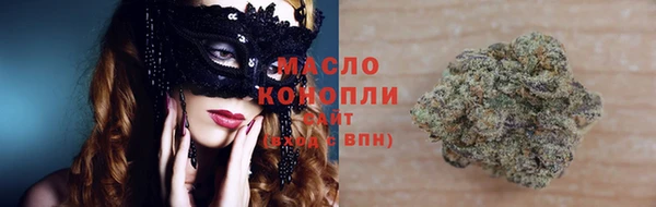 крисы Кулебаки