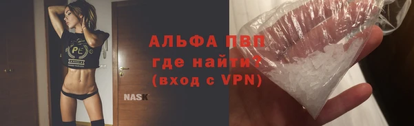 гашик Ладушкин