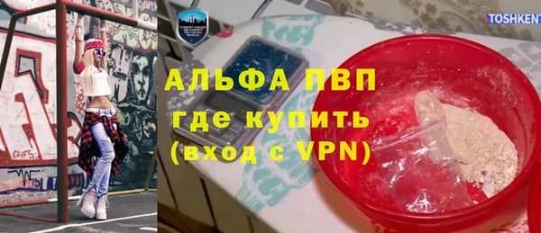 винт Абаза